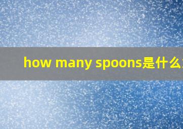 how many spoons是什么意思